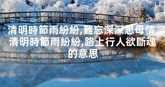 清明時節雨紛紛,難忘深深思母情 清明時節雨紛紛,路上行人欲斷魂的意思